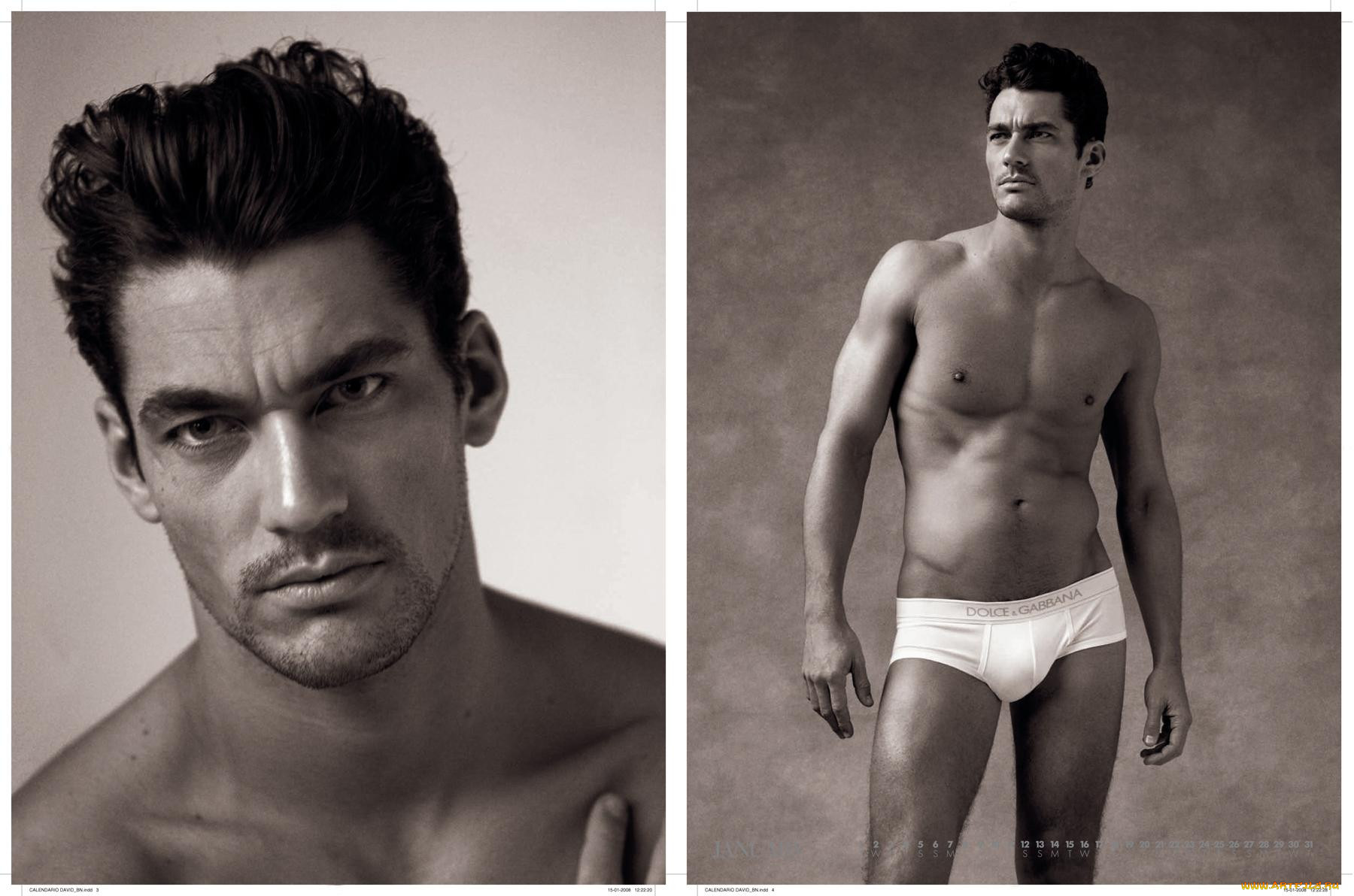 david, gandy, , 